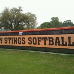 Lady Stings WS Banner