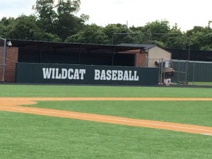 Windscreen - Baseball